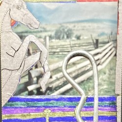BRONCO