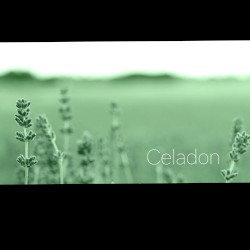 Celadon