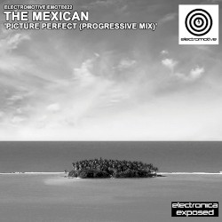 Picture Perfect (Progressive Mix)