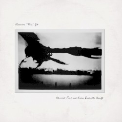 Classical Punk and Echoes Under the Beauty