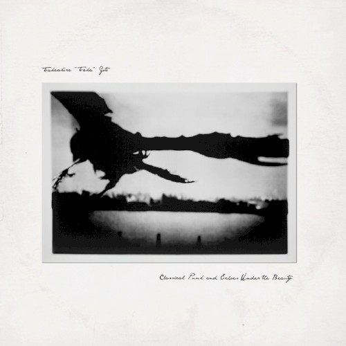 Classical Punk and Echoes Under the Beauty