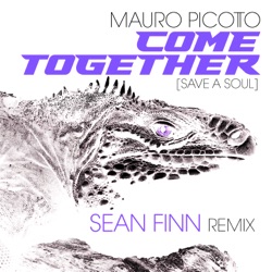 Come Together (Save a Soul) (Sean Finn remix)