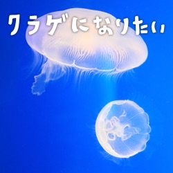 クラゲになりたい