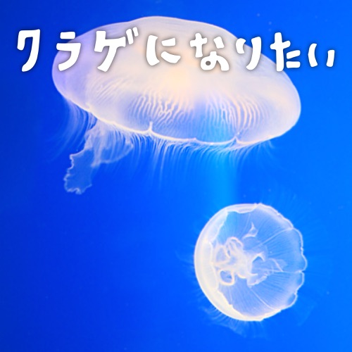 クラゲになりたい