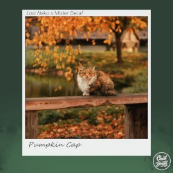 Pumpkin Cap