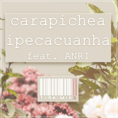 Carapichea Ipecacuanha