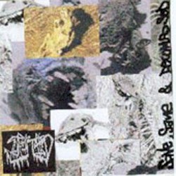 Save, Sane & Decomposed