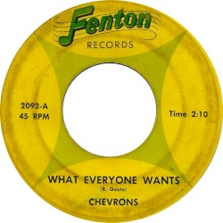 What Everyone Wants / Hey Little Teaser