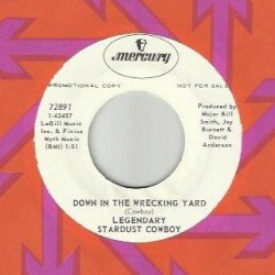Down in the Wrecking Yard / I Took a Trip on a Gemini Spaceship