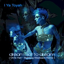 Dream not to Dream (Chris Hall - Stabbing Westward Remix)