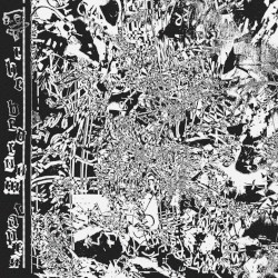 The Bedroom Tapes