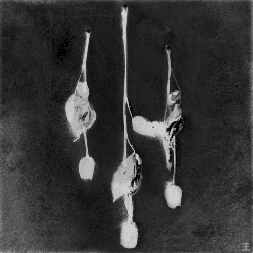 Crystal Eyes (instrumental)