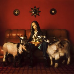 Capricorn Sun