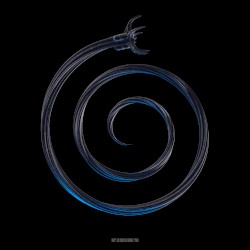 Lonely Road: Alternate Routes