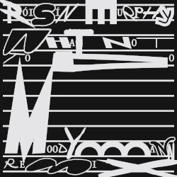 What Not to Do (Moodymann remix)