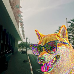 Let's Take a Walk (DRRTYWULVZ Remix)