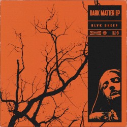 Dark Matter