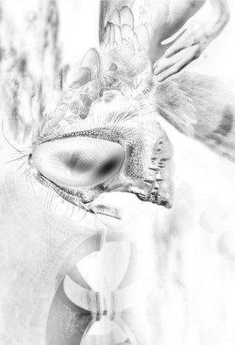 We'll Be Together in the Dead of the Night, in the Belly of the Beast We Stay; I Don't Believe in Mercy, I Don't Believe in Heaven, I Don't Believe in Miracles, I Don't Believe in Wholenows; Stop Being Selfish and Fire My Shotgun to the Other Side of Your Metaphysical Womb Already!