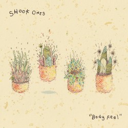 Body Feel