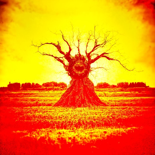 It's a Tree