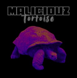 Tortoise
