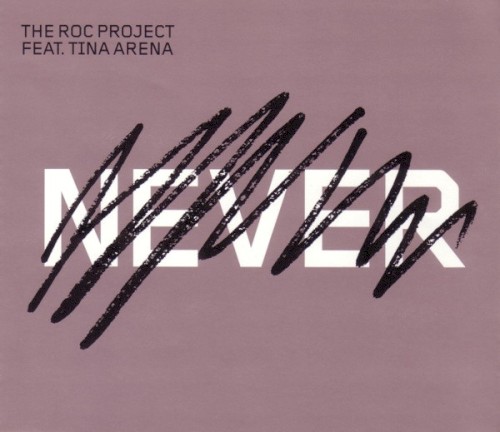 Never (Past Tense)