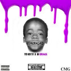 Concealed (Chopped Not Slopped By DJ Lil Steve)