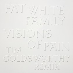 Visions of Pain (Tim Goldsworthy remix)