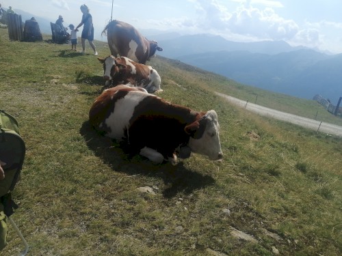 Austria Sessions 2