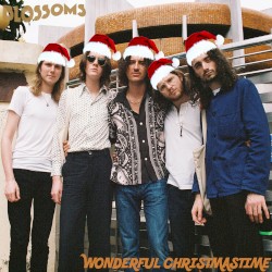 Wonderful Christmastime
