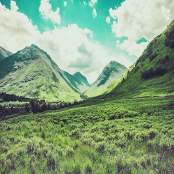 Meditational Devotions