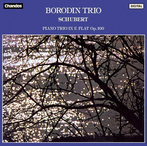 Piano Trio in E-flat, op. 100