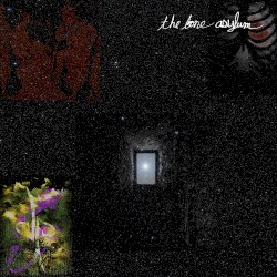 The Bone Asylum