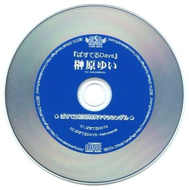 ぱすてる 初回限定版 特典MAXI ぱすてるDays