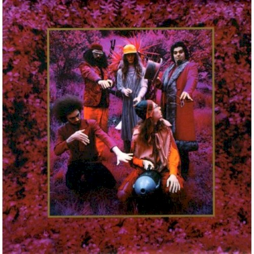 Grow Fins: Rarities 1965-1982