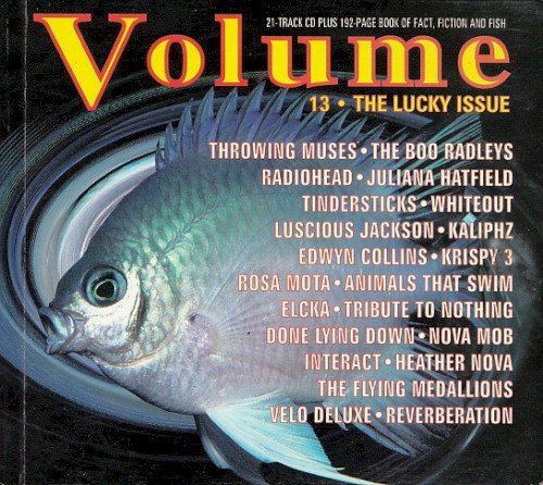 Volume 13: The Lucky Issue