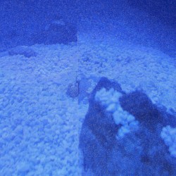 the deep
