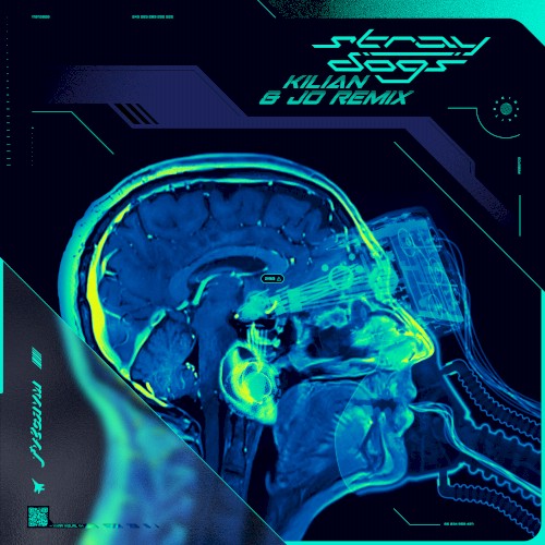 Stray Dogs (Kilian & Jo Remix)