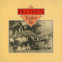 Teulu’r Tir