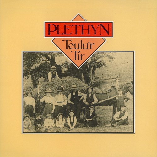 Teulu’r Tir