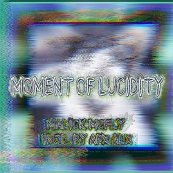 Moment of Lucidity
