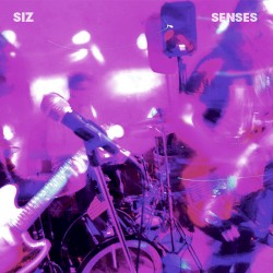 Senses