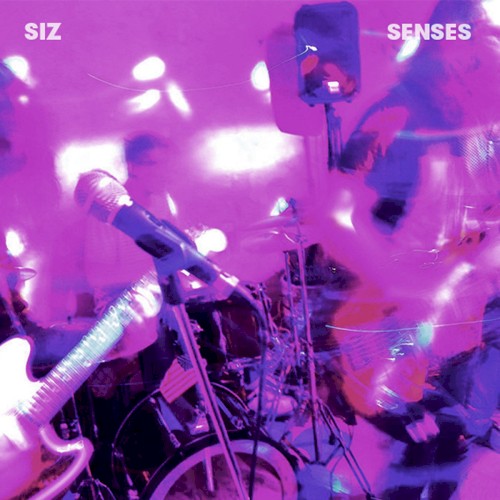 Senses