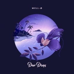 Dew Drops