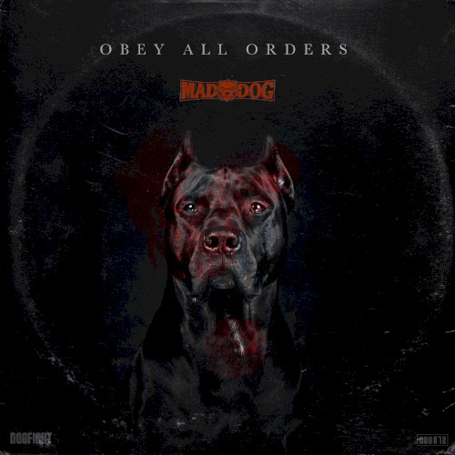 Obey All Orders