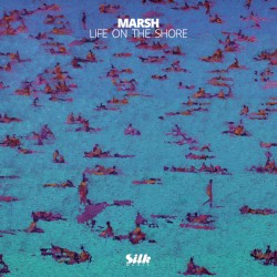 Life on the Shore