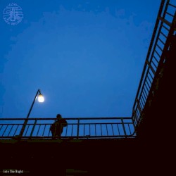 Into the Night