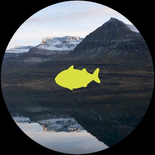 Thanks for All the Fish