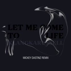 Let Me Come to Life (Mickey Dastinz remix)