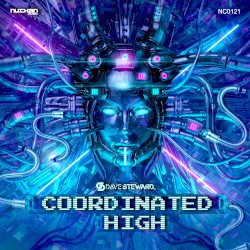 Coordinated High (Original Mix)